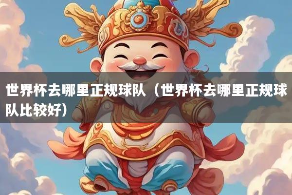 世界杯去哪里正规球队（世界杯去哪里正规球队比较好）