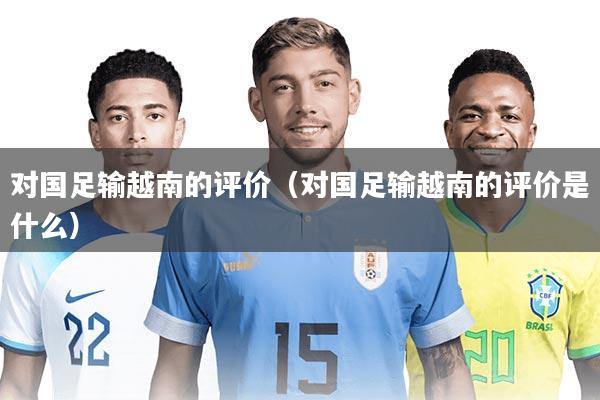 对国足输越南的评价（对国足输越南的评价是什么）